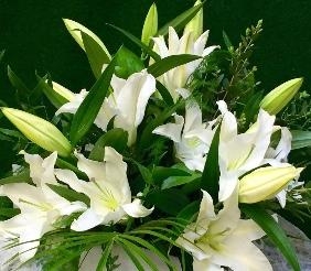 Oriental Lily Bouquet white