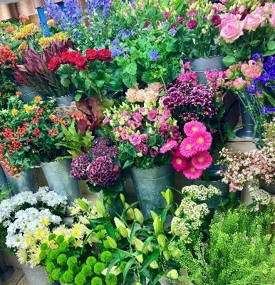 Florist Choice Seasonal Posy