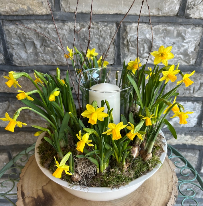 Golden Spring Daffodil Centrepiece