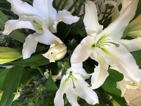 Oriental Lily Bouquet white