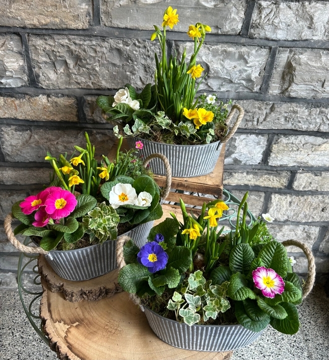 Flowering planted Basket