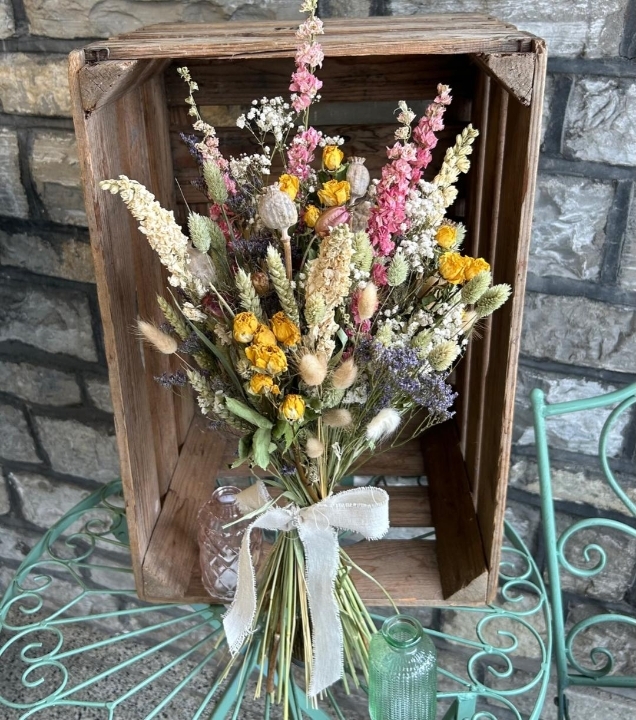 Dried Flowers — Plenty Flowers