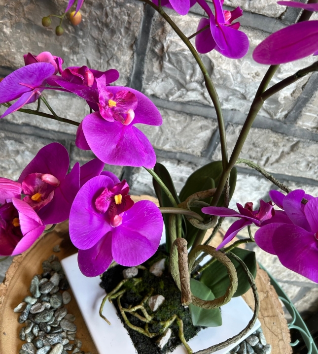 Faux Phalaenopsis Orchid