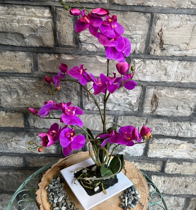 Faux Phalaenopsis Orchid